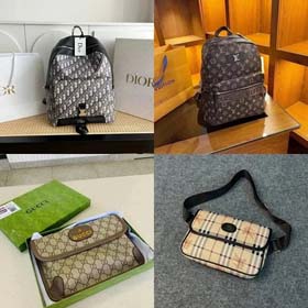 Dior/Louis Vuitton/Gucci Bag (23 styles)-0741